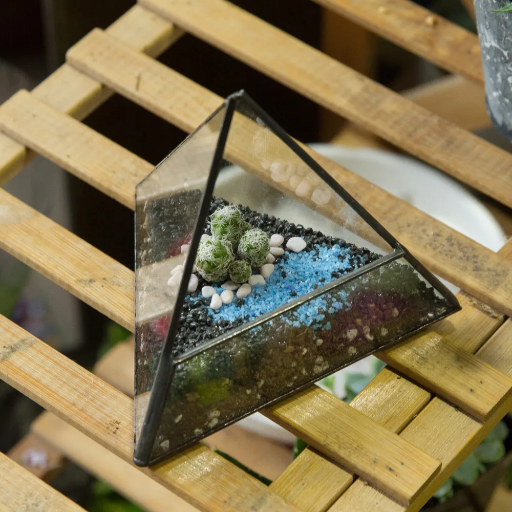 

NCYP Modern Micro Landscape Pyramid Glass Geometric Terrarium Tabletop Succulent Plant Container Decorative Flower Pot Terrarium