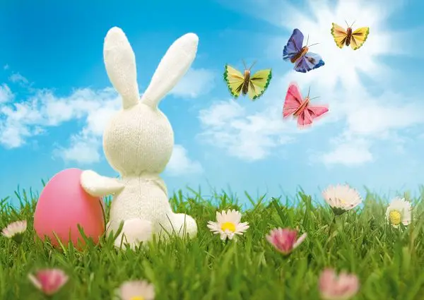 

VinylBDS 7x5ft Spring Easter Photography Backdrp Rabbit Butterfly Backgrounds For Photo Studio