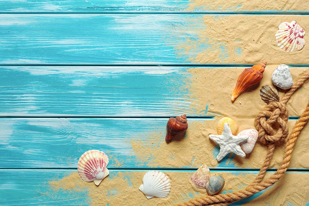 Biage to-خلفية للتصوير الفوتوغرافي ، الخشب الأزرق ، الصيف ، نجم البحر ، ديكور حفلات أعياد الميلاد ، كشك الصور ، خلفية الاستوديو ، دعامة b122