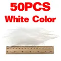 Color Blanco 50 Piezas
