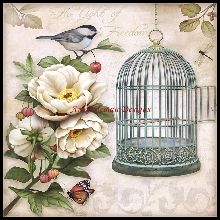 

Needlework for embroidery DIY DMC High Quality - Counted Cross Stitch Kits 14 ct Oil painting - Bird Cage