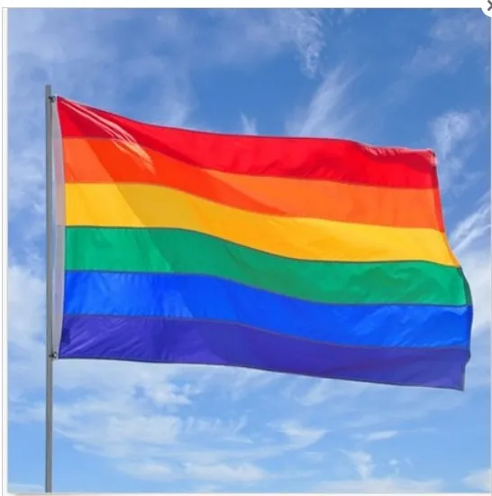 Gay Friendly Rainbow Flag Banners Pro Lesbian Gay Pride LGBT Flag Polyester Colorful Rainbow Flag For Gay Right Parade D3