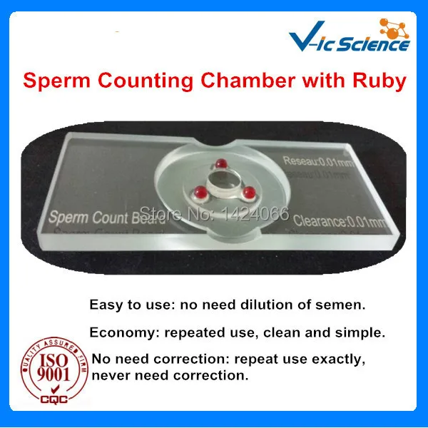 Hot Koop Zaadcellen Board Met Rode Ruby