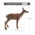 Female Red Deer