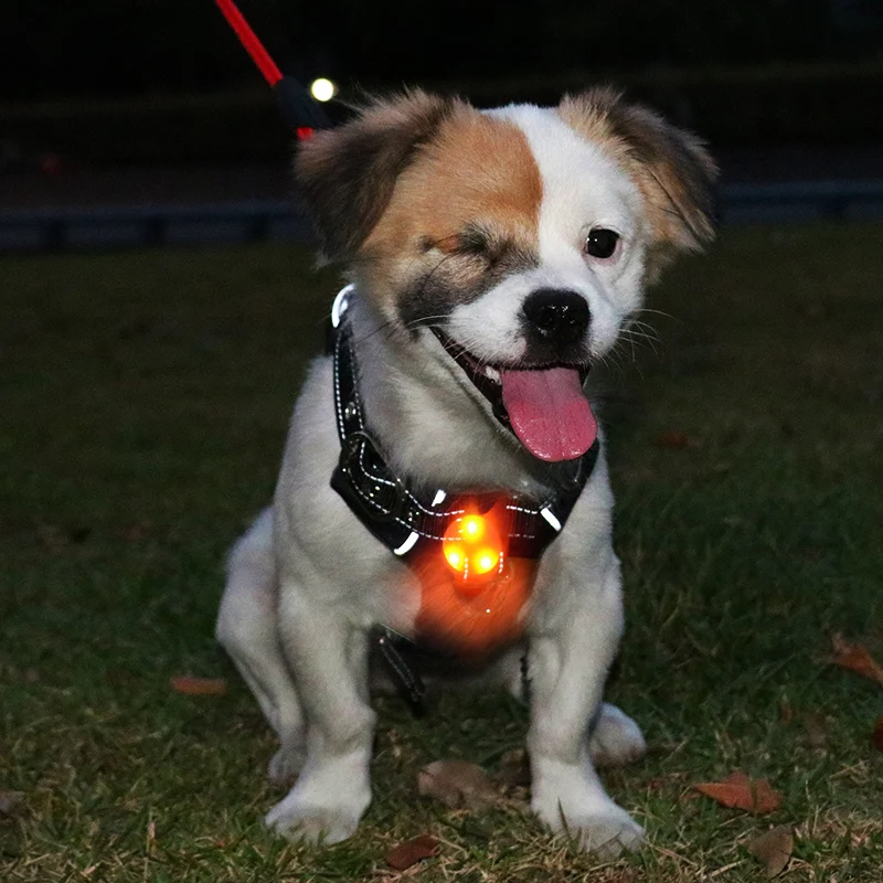 1pcs Pet Led Pendant Safety Flashing Glow Light Blinking Led Collar Pendant For Pet Dog Puppy Collar Dropshipping 20D1