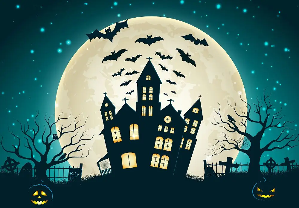 

VinylBDS Halloween Backdrops For Photography 300x300cm Full Moon Bats Castle Children Washable Backdrop Backgrounds WSJ-057