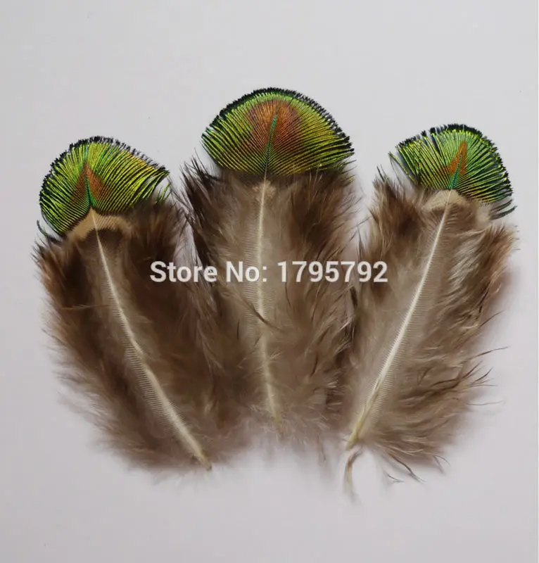 Wholesale 100pcs/lot 4-9cm DIY Pheasant Peacock Feathers Jewelry Accessories Precious Rare Plumes For DIY Crafts Mask Decoration