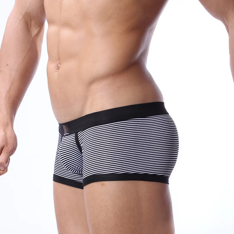 Calzoncillos bóxer de algodón para hombre, ropa interior Sexy de cintura baja, tallas S, M y L