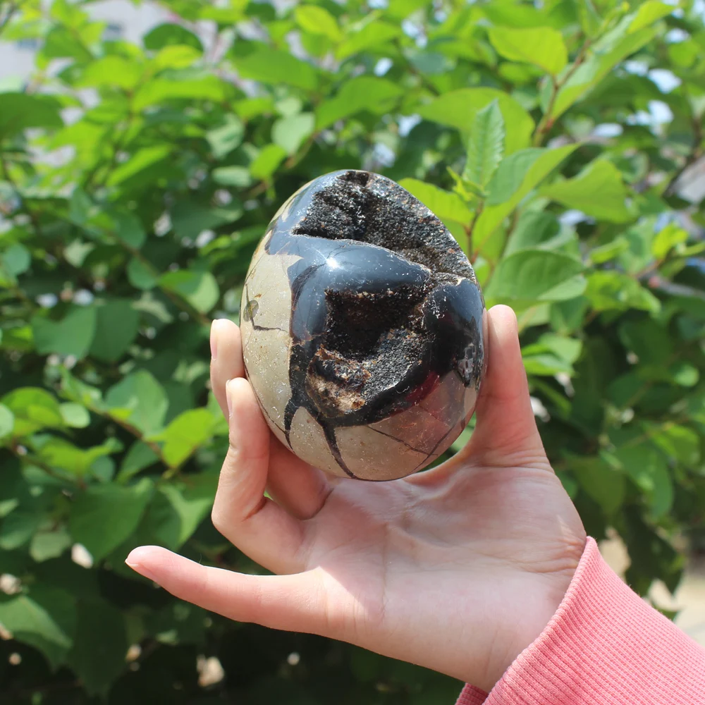 780g Natural curvature of the furnishing articles Turtle grain stone egg  Ball Septarian nodule  Crystal Healing quartz 54