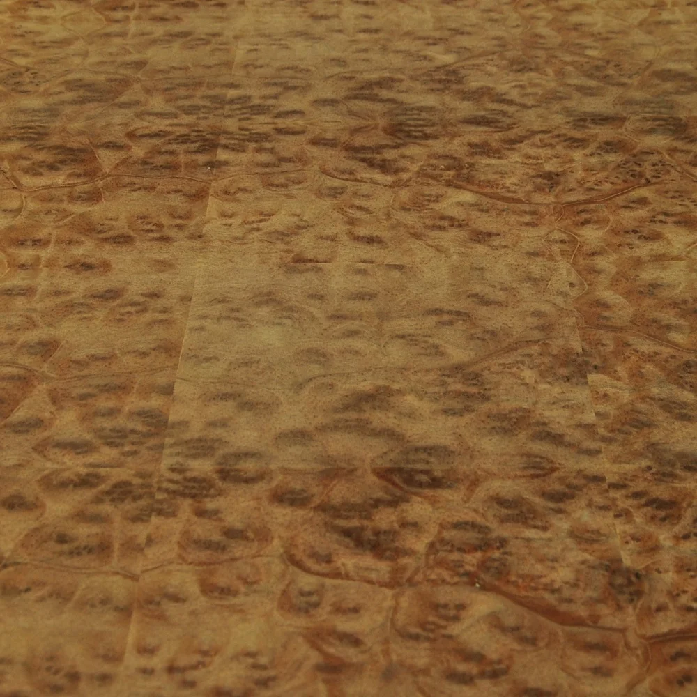 Natural Burl chapado amarillo alcanfor