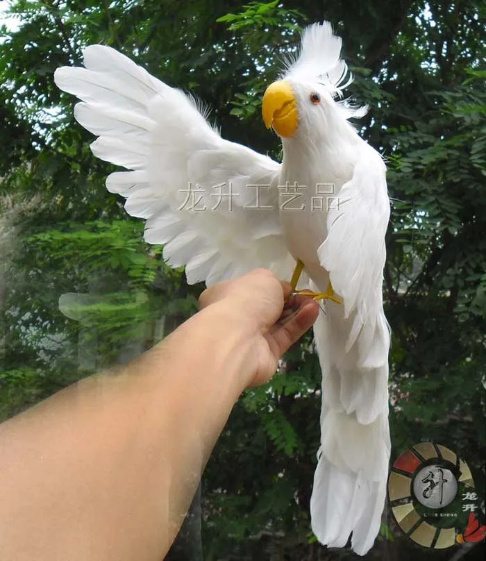 

simulaiton white Cockatoo toy polyethylene & furs White parrot doll gift about 40cm 1716