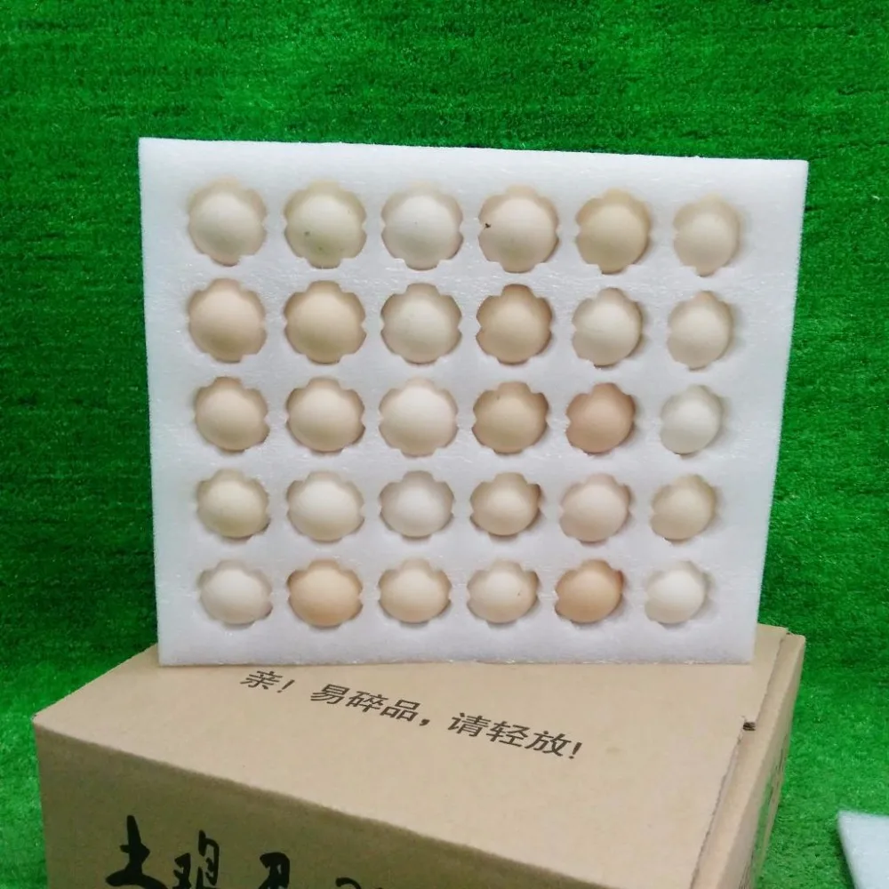 Egg Packing Pallet/Tray/Holder Buffer Foam, Packaging Materials, Egg Storage Foam