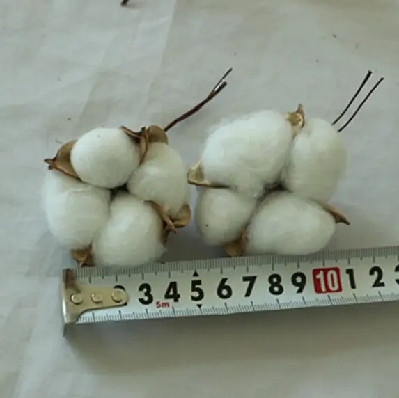 6PCS/Pack Natural Dried Cotton Flower Heads simulation flower DIY wedding decoration for home party office