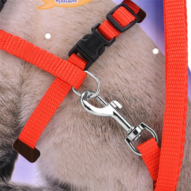 Kediler için 5 renk ayarlanabilir Pet Kedi yaka rahat naylon tavşan yavru Kedi koşum tasma seti köpek Kedi aksesuarları ürünleri evcil hayvanlar için