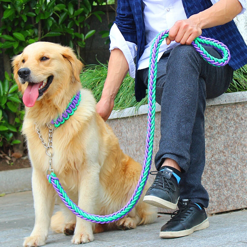 Double Strand Rope Large Dog Leashes Metal P Chain Buckle Contrast  Colorful Pet Traction Rope Collar Set Firm 1.2m Length