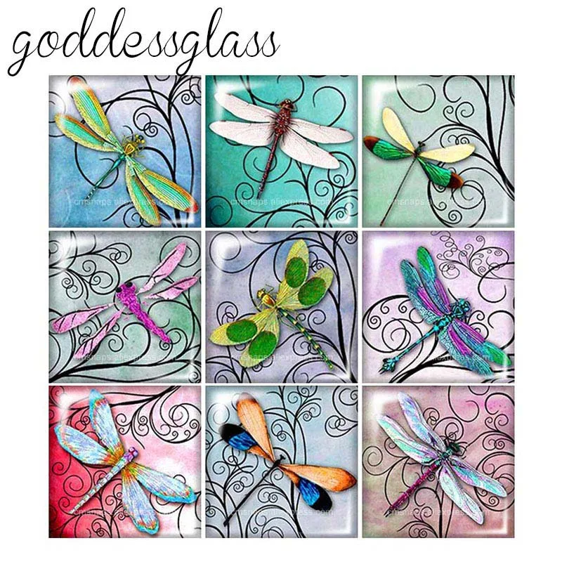 New dragonfly beauty patterns 10pcs mixed 12mm/20mm/25mm/30mm Square photo glass cabochon demo flat back Making findings