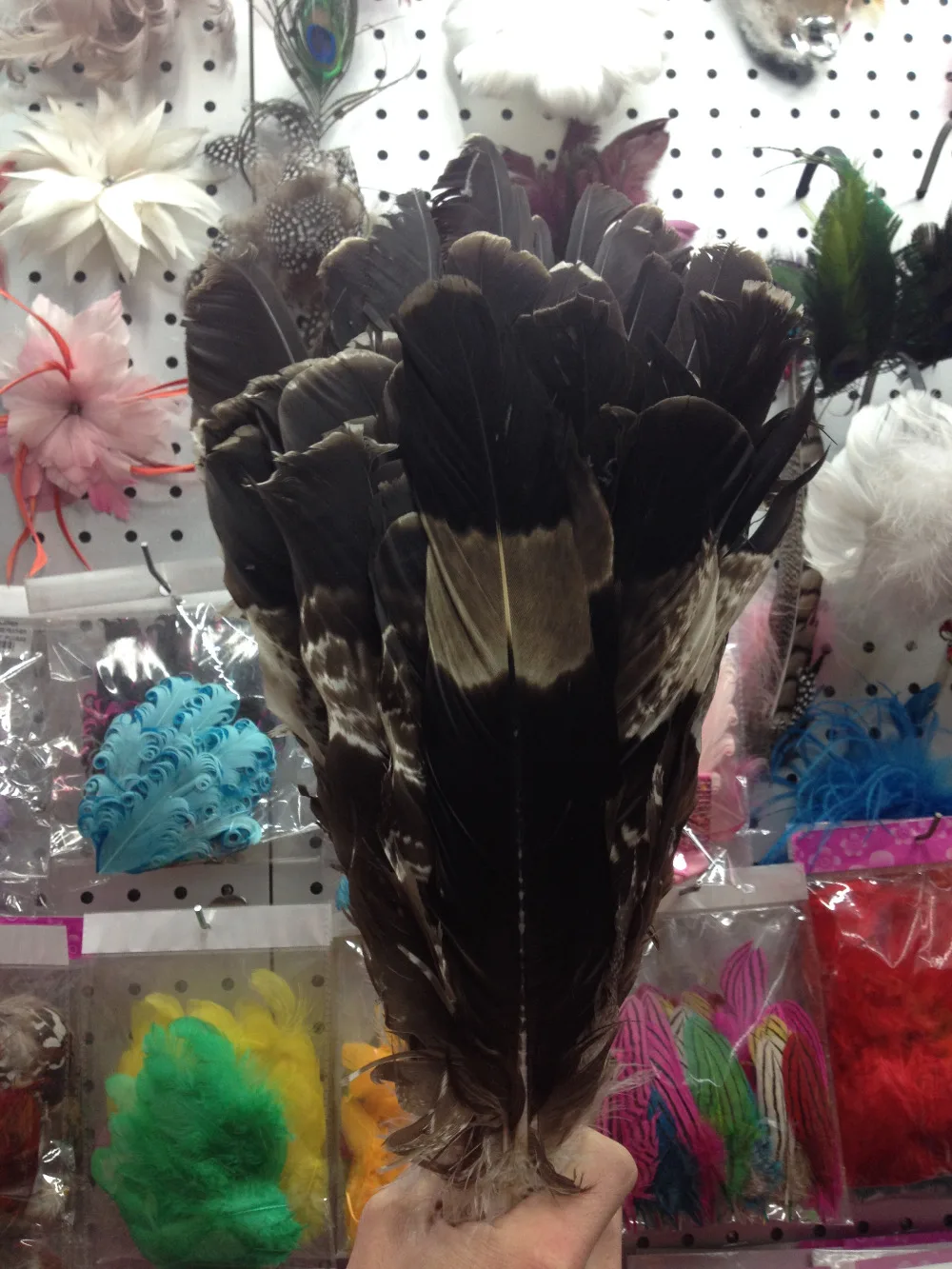 wholesale high quality 50pcs Scarce natural Crested Serpent Eagle feathers 28-40cm / 12-16inch various decorative diy collect