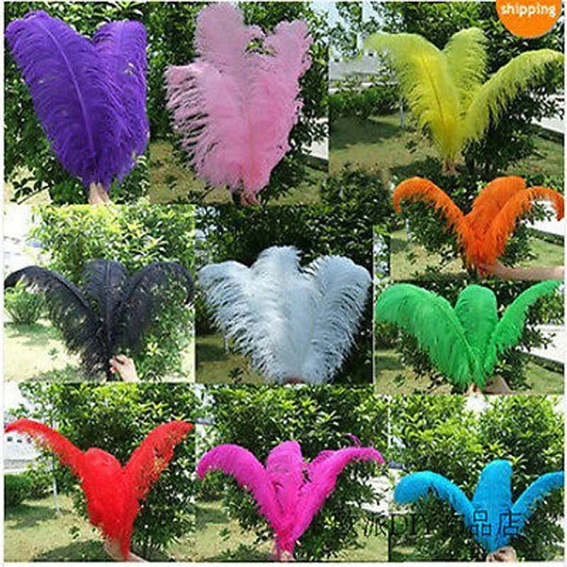 

Wholesale 50pcs High Quality Natural OSTRICH FEATHERS 55-60cm/22-24'inch More color choice