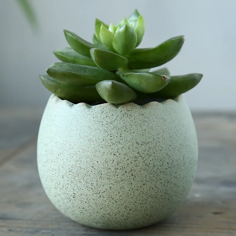 Fleshy Plant Flowerpot Cute Mini Egg Shape Home Deco Tabletop Decoration Landscape Plants Ventilation 6*7cm 6colors Ceramic