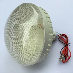 12V DC Led Tent Bulbs Portable Lamp Outdoor Camping Barbecue Globe Hanging Emergency Lights Crocodile Hook Cool White 20/30/40w