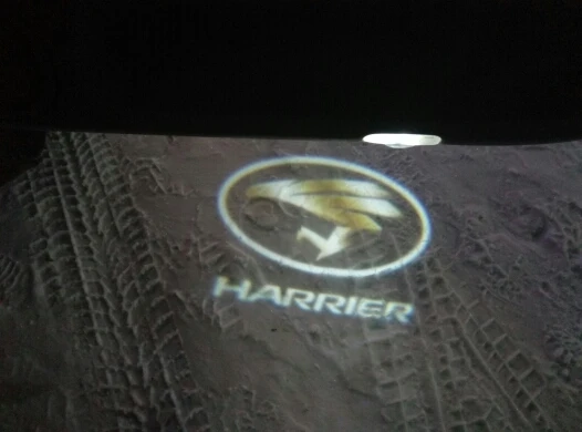 2X LED door Courtesy step welcome courtesy laser projector\