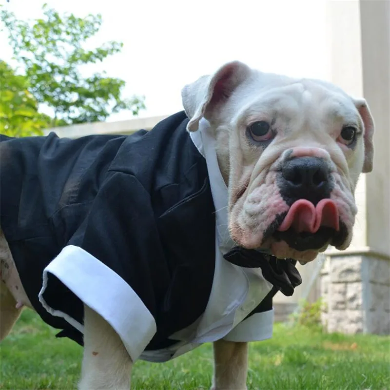 Wedding Big Large Dog Suit Pug UK FR Bulldog Swallow-tailed Tuxedo Formal Clothes Jacket For Pit Bull Terrier American Bully Dog