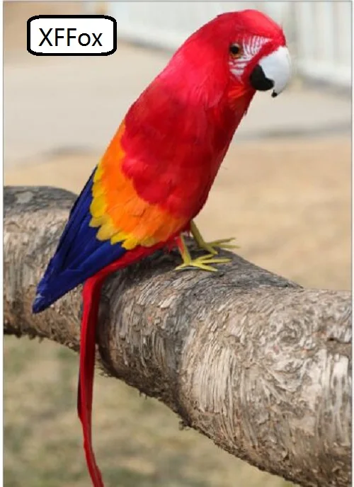 real life red parrot model foam&feather cute simulation parrot bird gift about 42cm xf0195