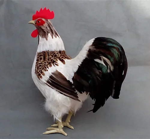 ขนาดใหญ่43X17X34ซม.จำลอง Cock รุ่นเหมือนจริง1:1ไก่ที่มีสีสันชุดตกแต่ง T190