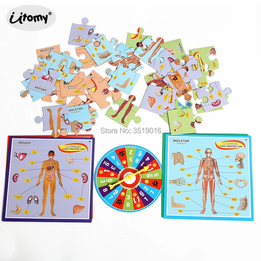 DIY 3D Human Body Structure Puzzle Board Game  Paper Jigsaw Floor Puzzle Educational Toys For Children 1-4 players