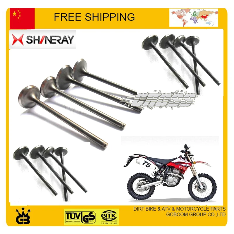 Peças de motor 250cc válvula de saída de entrada vedação de óleo para shineray AX-1 honda motocicleta x2 x2x xy250gy acessórios
