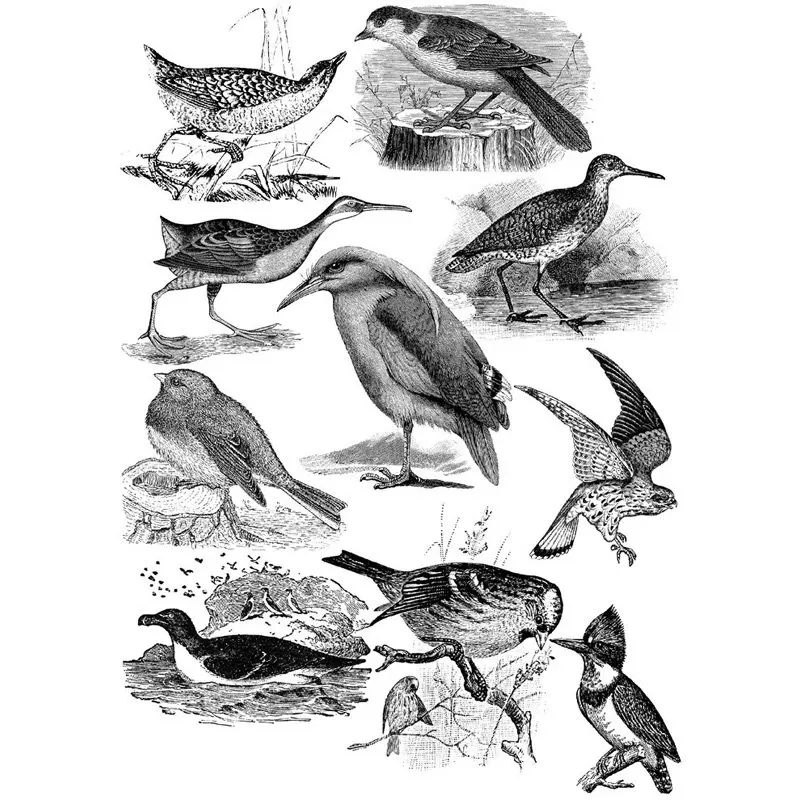 2 PCS Black Bird Sketch Painting DIY Uncut Decoration Scrapbook Stationery Diary Sticker Planner Cute Label Travel Stickers