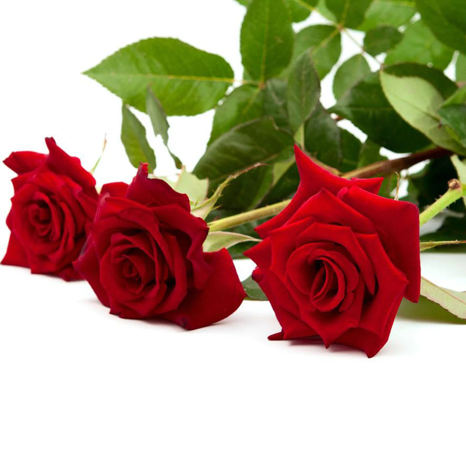 2PCS/set  Petal Leaf Rose Shaped Silicone Mold Cake Decoration tools Fondant 3D Flowers Wedding cake Mould  T1197