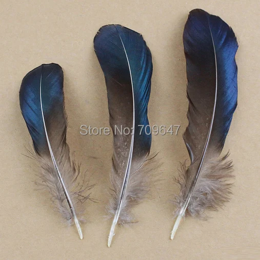 200Pcs/Lot! 8-15cm Long Natural Lady Amherst Blue Feathers,Iridescent Blue Lady Amherst Pheasant Wing Feathers,craft feathers