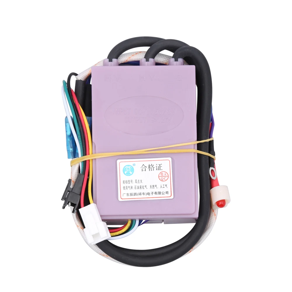 Applicable Gas Water Heater 3-wire Pulse Igniter Flue Double Ignition Controller Water Heater Accessories