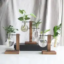 Glass Wood Vase Planter #3