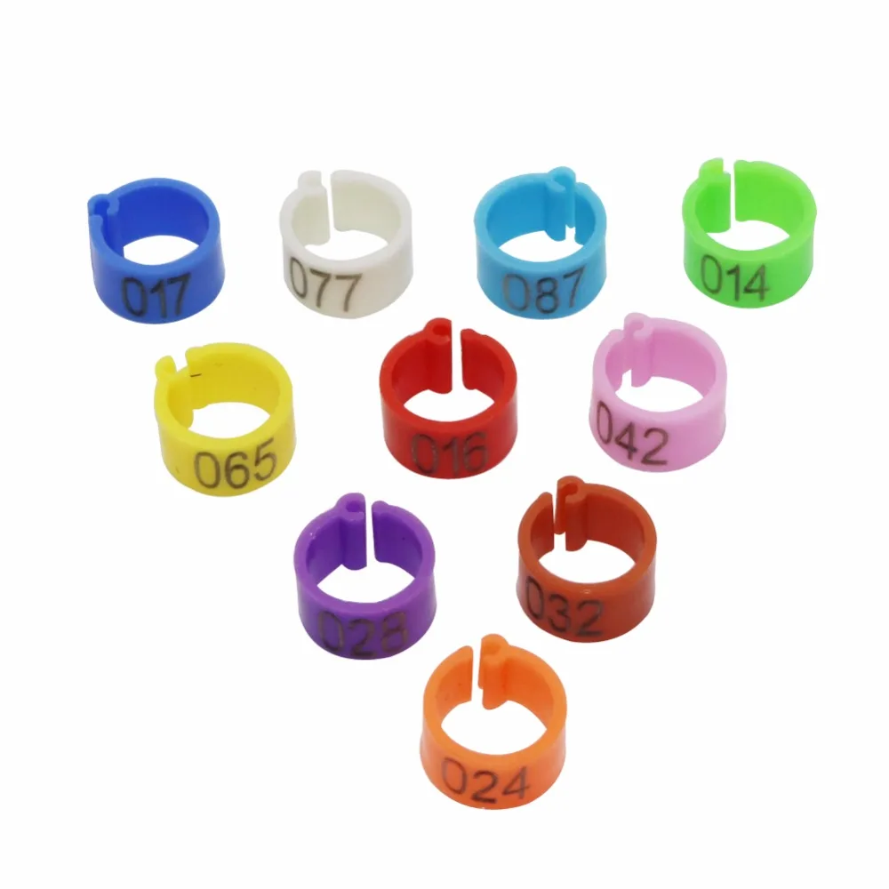 Lot 100 Anneaux Jambes Poulet 16 Mm – Numérotés Colorés, Plastique Robuste – Poules, Canards, Cailles