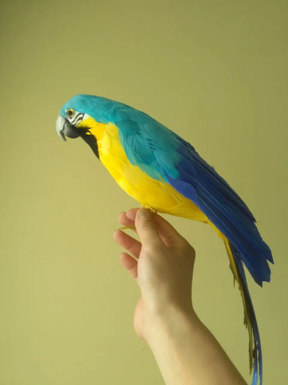 

new simulation blue&yellow parrot toy polyethylene & furs little wings parrot model gift about 42cm 1545