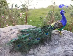 real life toy bird about 45cm beautiful feathers peacock model handicraft home garden Decoration party props toy h0559