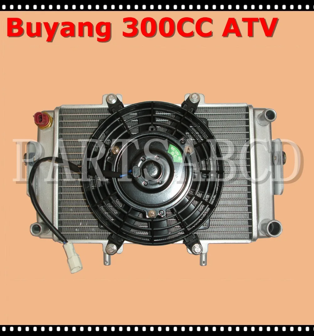 Buyang Feishen 300CC ATV Quad RADIATOR And FAN ELECTROMOTOR ASSY