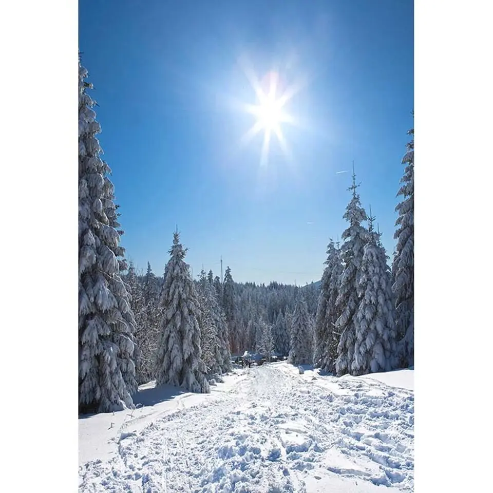 Sunny Blue Sky Winter Scenic Backdrop for Photography Thick Snow Covered Pine Trees Kids Children Skiing Photo Shoot Backgrounds