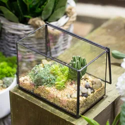 NCYP Rectangle Clear Glass Geometric Terrarium Box Indoor Tabletop Micro Landscape Succulents Fern Moss Plant Flower Pot Planter