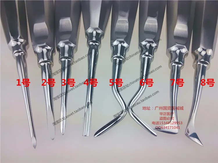 medical Dental instrument Tooth Extraction tool straight curved teeth pointed roots triangular horns tall Animal dental elevator