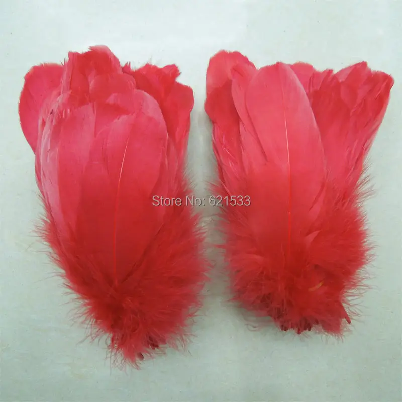 

Feathers!Red Goose Nagoire Wholesale Feathers(200 Feather/lot) Perfect for crafts,costume design,headbands,hair fascinators