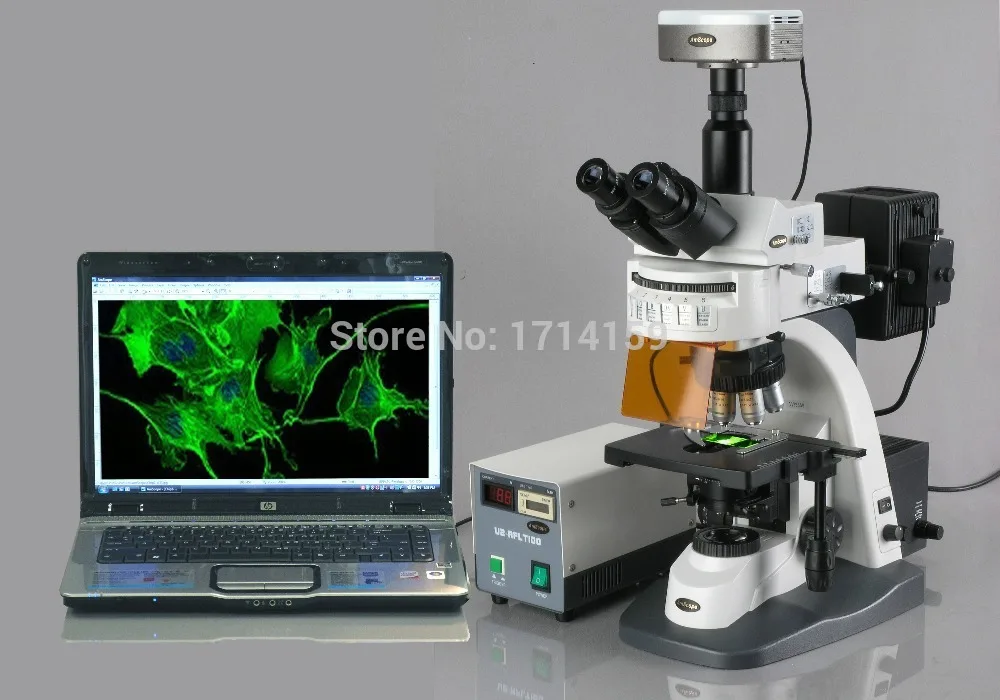 application in biology-AmScope Supplies 40X-1000X Infinity Plan EPI Fluorescent Microscope with Extreme Widefield Optics