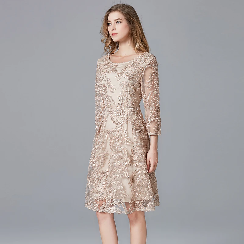 TAOYIZHUAI 2019 New Arrival Spring Summer Dress Plus Size Champagne Ladies Casual Lace A-Line Polyester Dresses For Women 14146