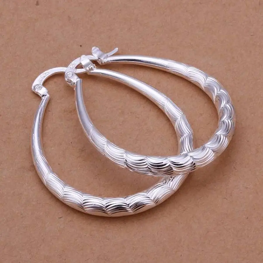 fashion For women lady wedding hook beautiful High quality Silver color Earring Jewelry free shipping cute gift , E295