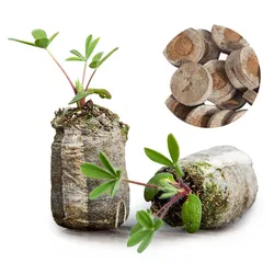 3 block Peat Pellets Seed Starting Plugs Starter Pallet Seedling Soil Block Professional Easy To Use 3*1CM