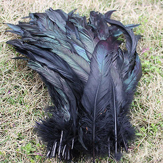 

wholesale 100pcs/lot natural black Beautiful Rooster feathers 30 - 35cm 12 -14Inch