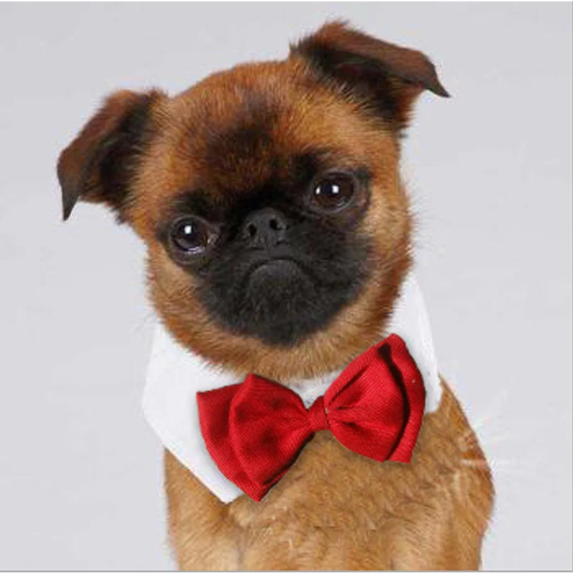 

40 Pcs Hot Wholesale Pet Supplies Red Colors Cats Dog Tie Wedding Accessories Holiday Grooming Bowtie