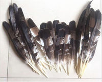 Free shipping wholesale high quality 50pcs natural Crested Serpent Eagle feathers  25-45cm / 12-18inch Decorative diy collect